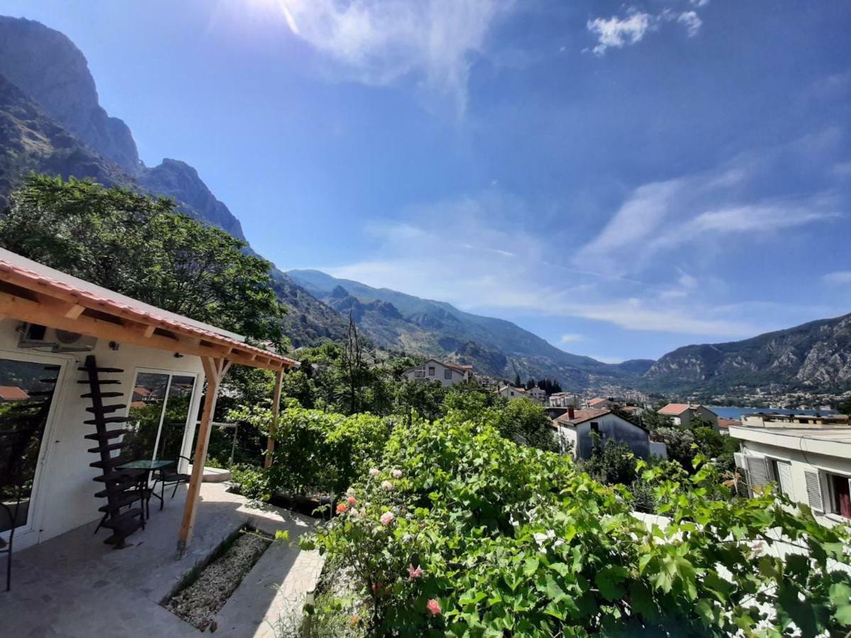 Apartments Dakovic Kotor Dış mekan fotoğraf