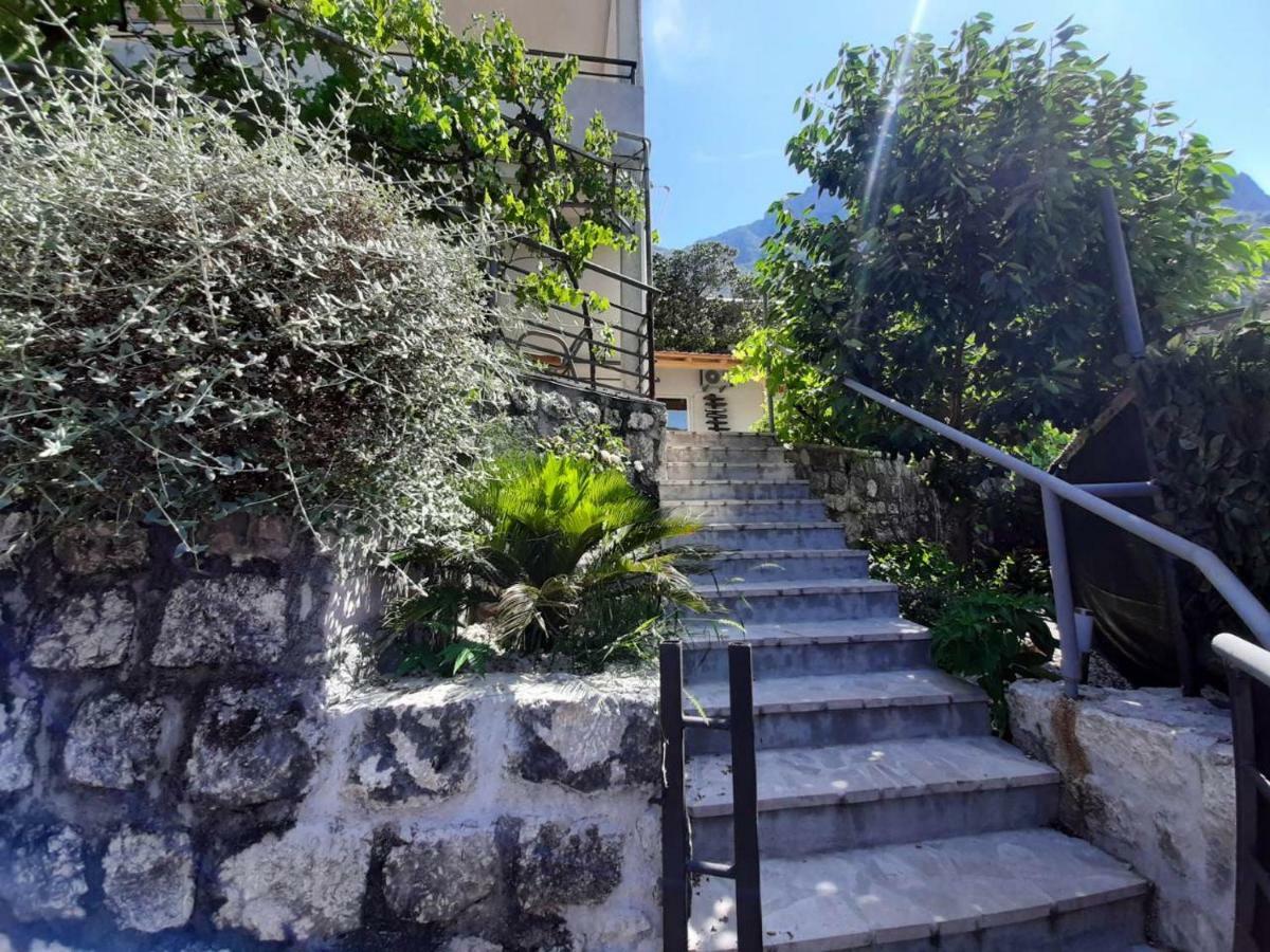 Apartments Dakovic Kotor Dış mekan fotoğraf