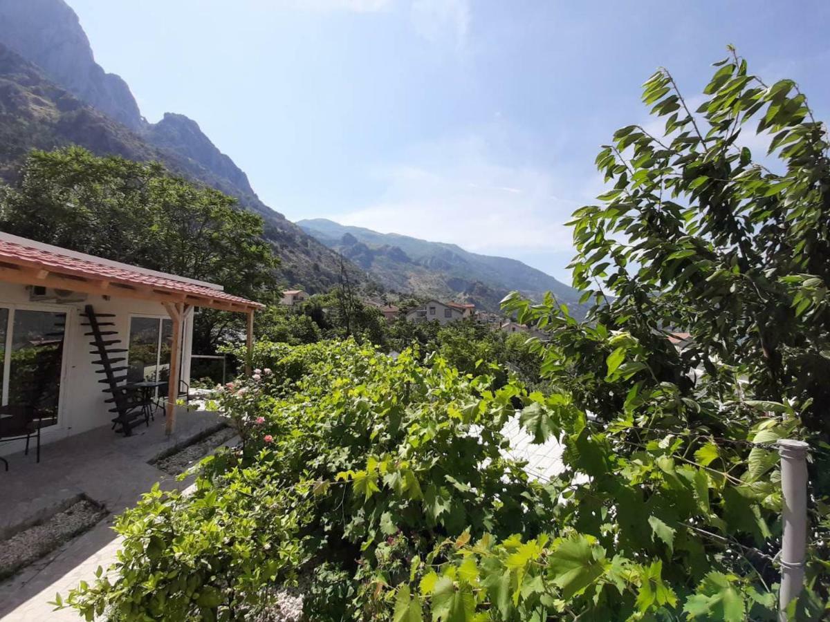 Apartments Dakovic Kotor Dış mekan fotoğraf