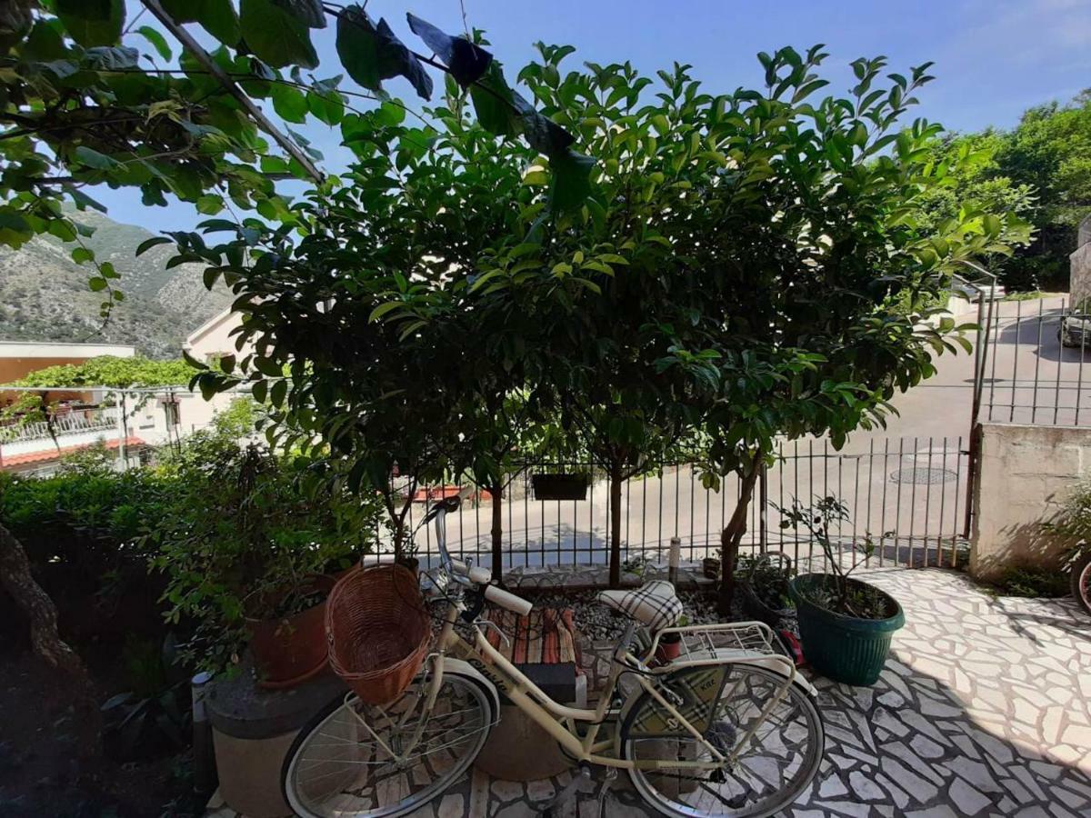 Apartments Dakovic Kotor Dış mekan fotoğraf